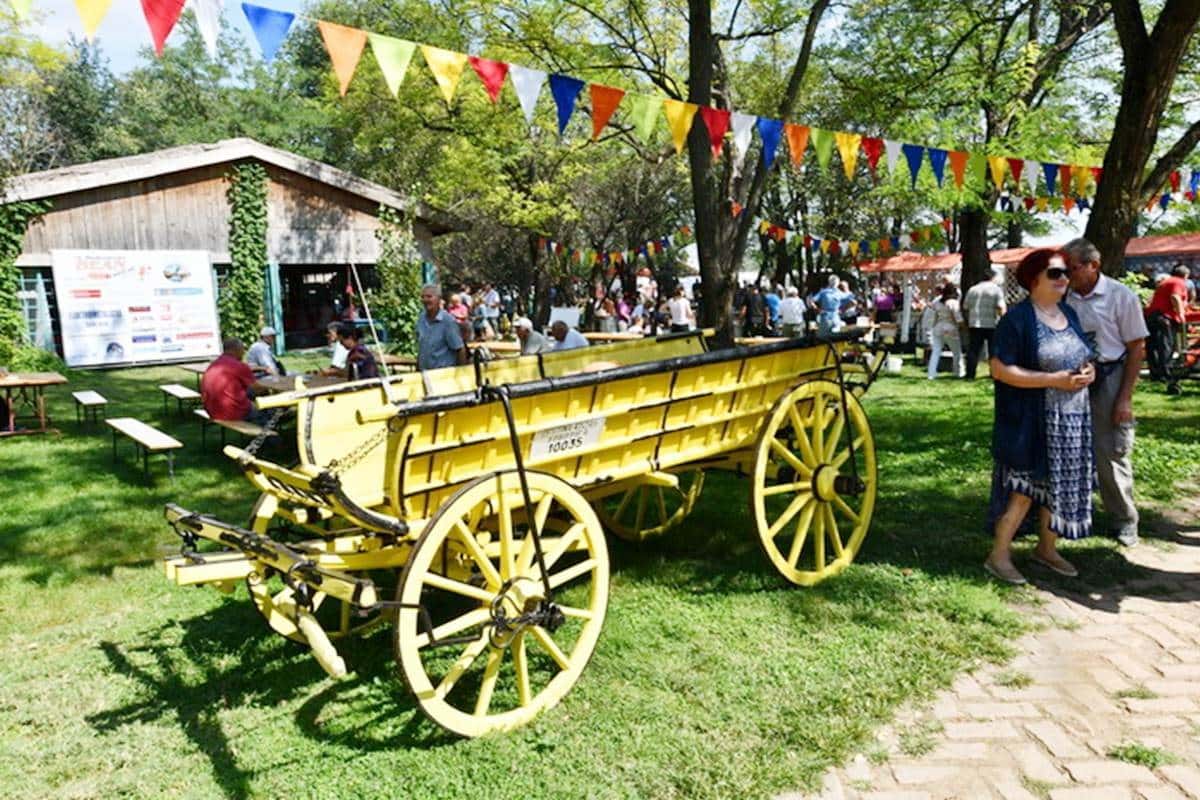 Rogalj 2026 - Bean Festival