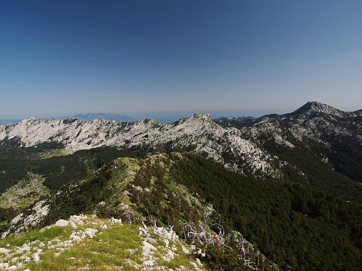 ORJEN: grebenarenje Reovačke grede (Crna Gora)